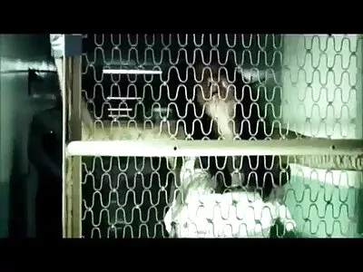 मूक गोरा व्हिक्टोरिया डॅनियल्स एक प्रचंड लंड द्वारे fucked